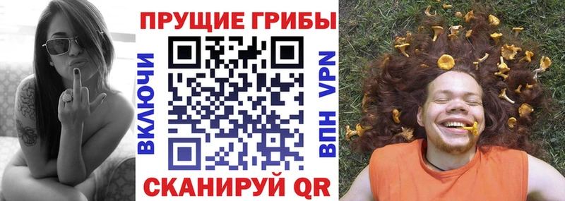 Галлюциногенные грибы мухоморы  Купить  Кольчугино 