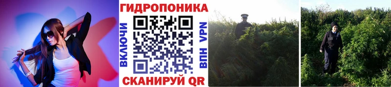 Каннабис White Widow  Купить где  Кольчугино 